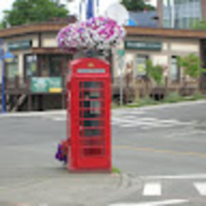 Meet your Posher, Evelynne